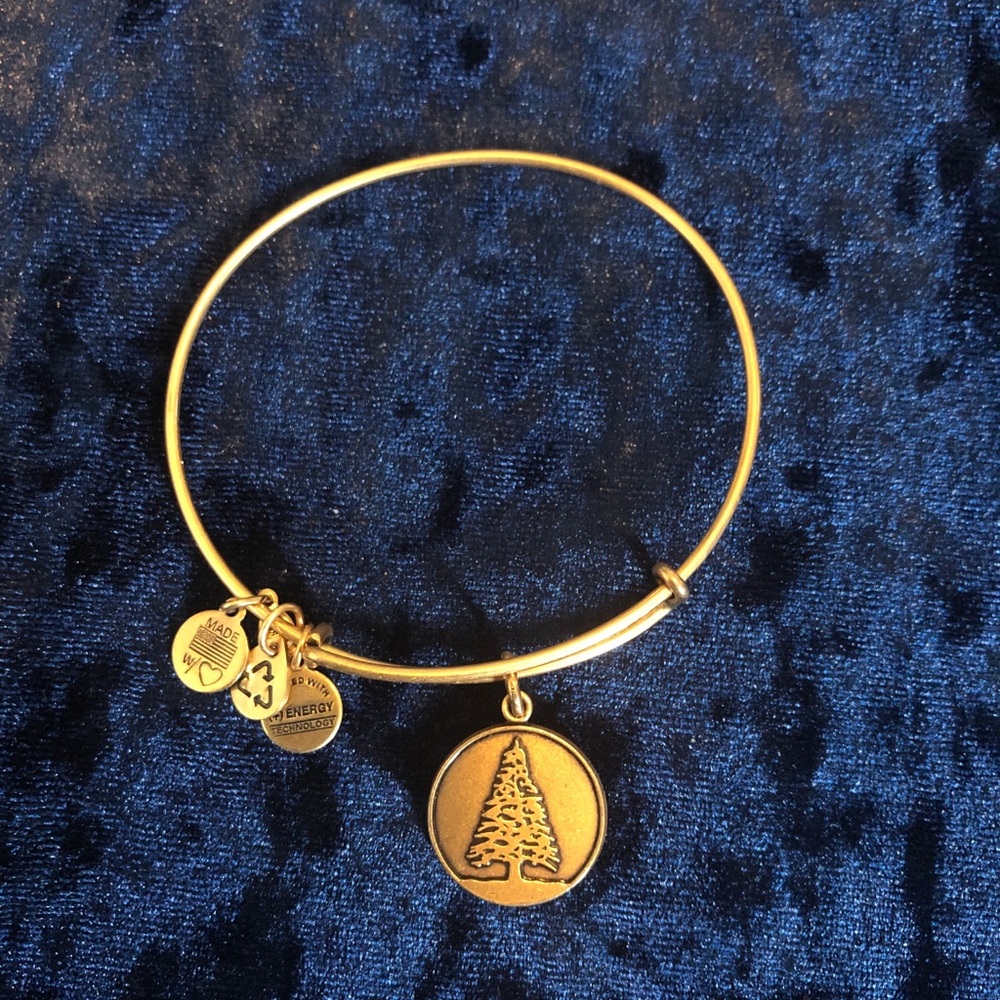 Alex and Ani tree bangle